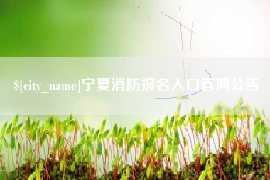 嵊州宁夏消防报名入口官网公告