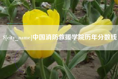 嵊州中国消防救援学院历年分数线