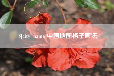 嵊州中国地图格子画法