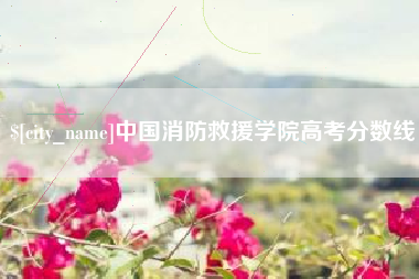 嵊州中国消防救援学院高考分数线