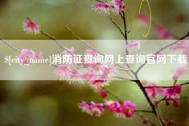 嵊州消防证查询网上查询官网下载