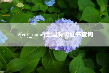 嵊州全国消防证书查询