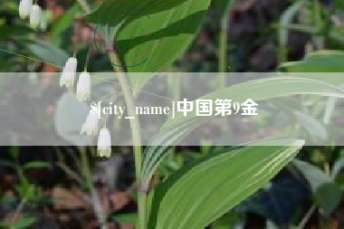 嵊州中国第9金