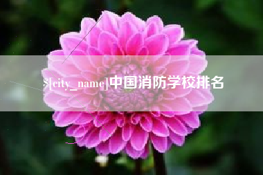 嵊州中国消防学校排名
