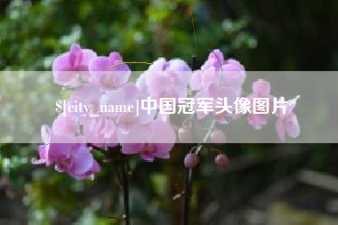 嵊州中国冠军头像图片