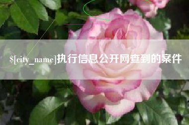 嵊州执行信息公开网查到的案件