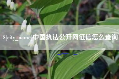 嵊州中国执法公开网征信怎么查询