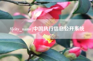 嵊州中国执行信息公开系统