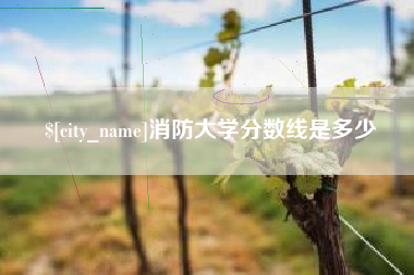 嵊州消防大学分数线是多少