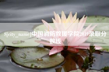 嵊州中国消防救援学院2019录取分数线