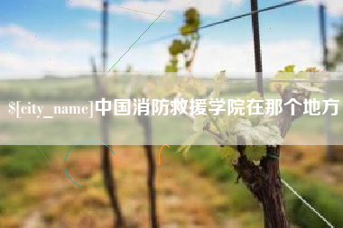 嵊州中国消防救援学院在那个地方