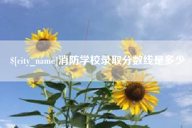 嵊州消防学校录取分数线是多少