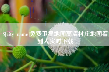 嵊州免费卫星地图高清村庄地图看到人实时下载