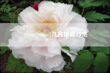 嵊州九宫排盘方法