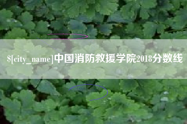嵊州中国消防救援学院2018分数线