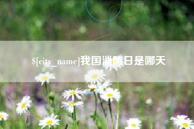 嵊州我国消防日是哪天