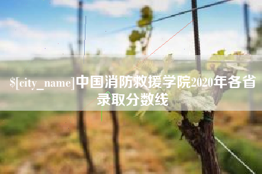 嵊州中国消防救援学院2020年各省录取分数线