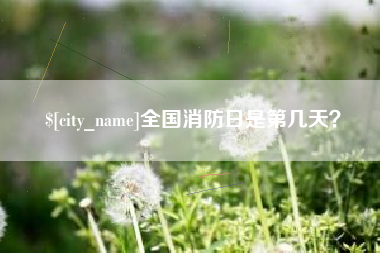 嵊州全国消防日是第几天？