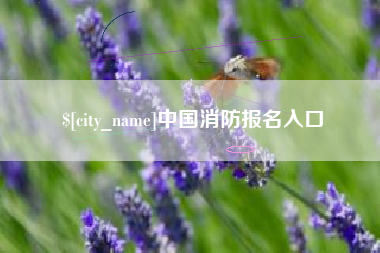 嵊州中国消防报名入口