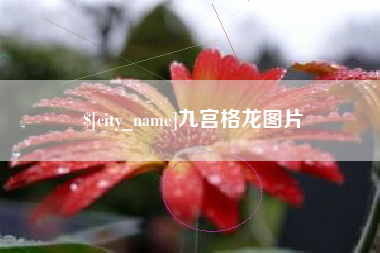 嵊州九宫格龙图片