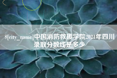 嵊州中国消防救援学院2021年四川录取分数线是多少