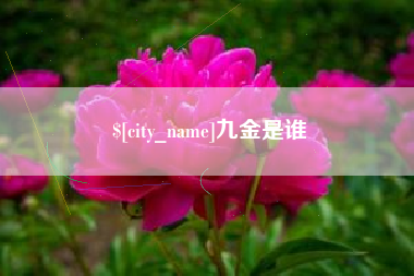 嵊州九金是谁