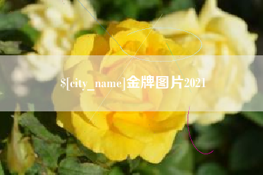 嵊州金牌图片2021