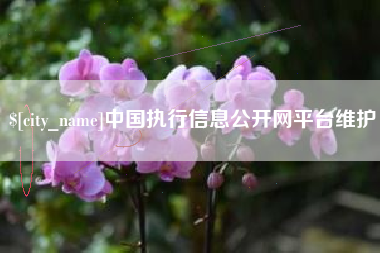 嵊州中国执行信息公开网平台维护