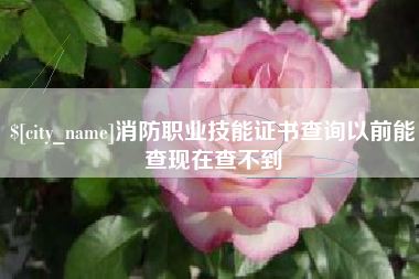 嵊州消防职业技能证书查询以前能查现在查不到