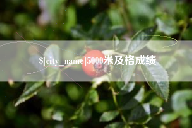 嵊州5000米及格成绩