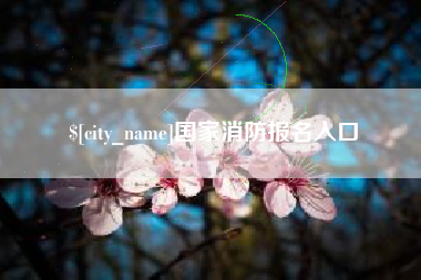 嵊州国家消防报名入口