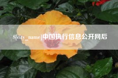 嵊州中国执行信息公开网后
