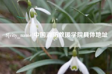 嵊州中国消防救援学院具体地址