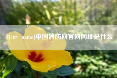 嵊州中国消防网官网网址是什么