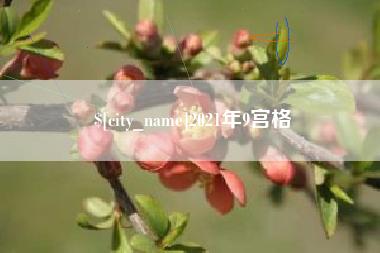 嵊州2021年9宫格