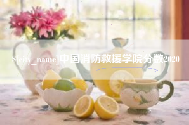 嵊州中国消防救援学院分数2020