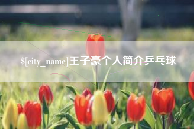 嵊州王子豪个人简介乒乓球