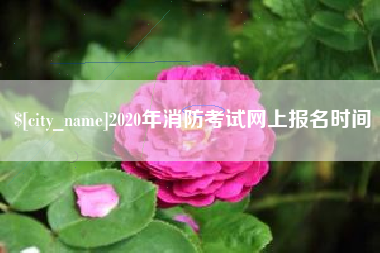 嵊州2020年消防考试网上报名时间