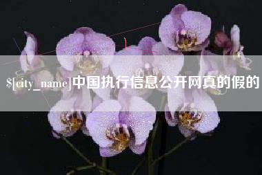 嵊州中国执行信息公开网真的假的