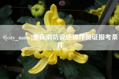 嵊州重庆消防设施操作员证报考条件