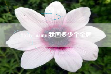 嵊州我国多少个金牌
