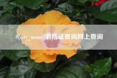 嵊州消防证查询网上查询