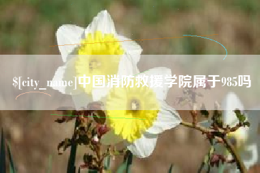 嵊州中国消防救援学院属于985吗
