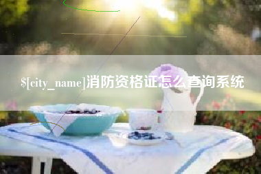 嵊州消防资格证怎么查询系统