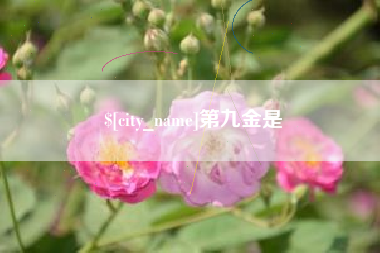 嵊州第九金是