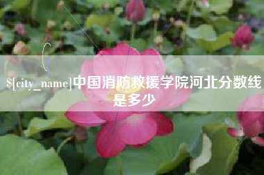 嵊州中国消防救援学院河北分数线是多少