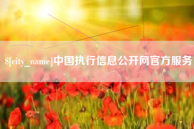 嵊州中国执行信息公开网官方服务