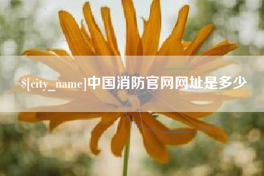 嵊州中国消防官网网址是多少