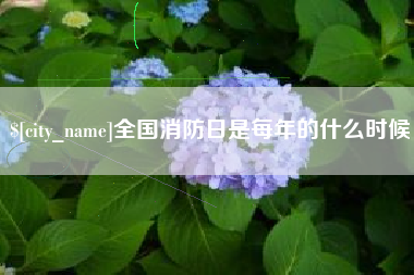 嵊州全国消防日是每年的什么时候