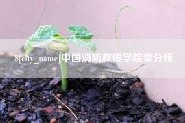 嵊州中国消防救援学院录分线